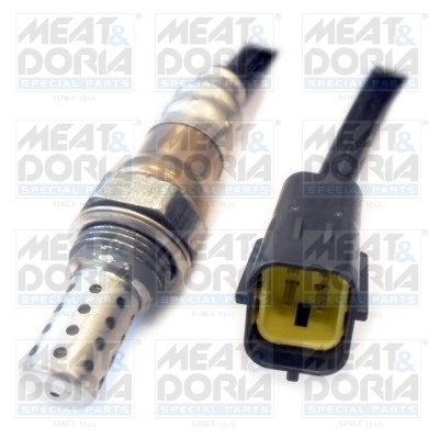 Oxygen Sensor